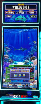 Daily Bonuses 337bet